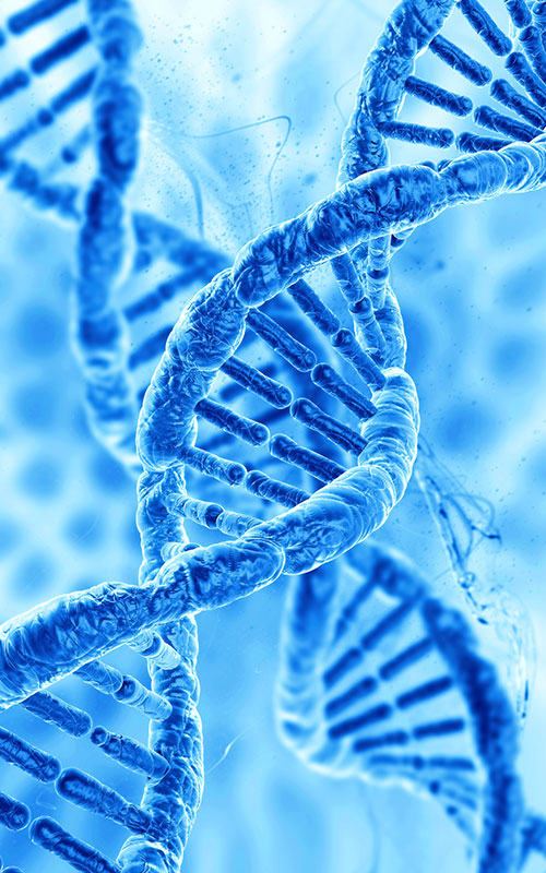 Anhua Bio เปิดตัวผลิตภัณฑ์ PDRN: สร้างห่วงโซ่อุปทานทั่วโลกใหม่สำหรับวัตถุดิบฟื้นฟูเนื้อเยื่อด้วยชีววิทยาสังเคราะห์